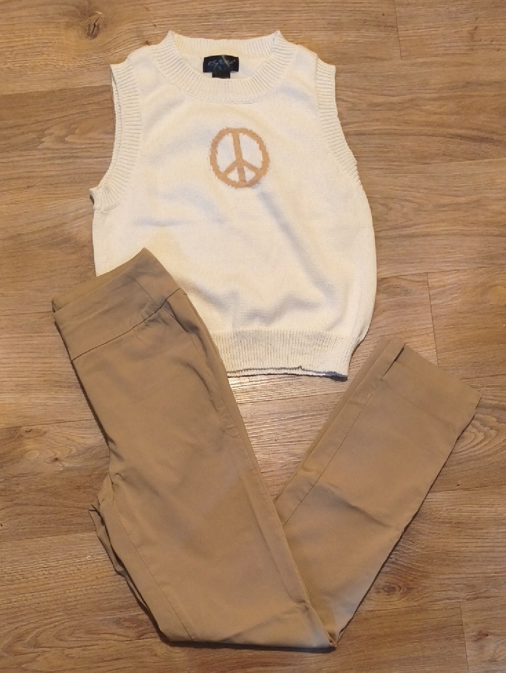 Martha Stewart Stretch Dress Pants And Peace Vest